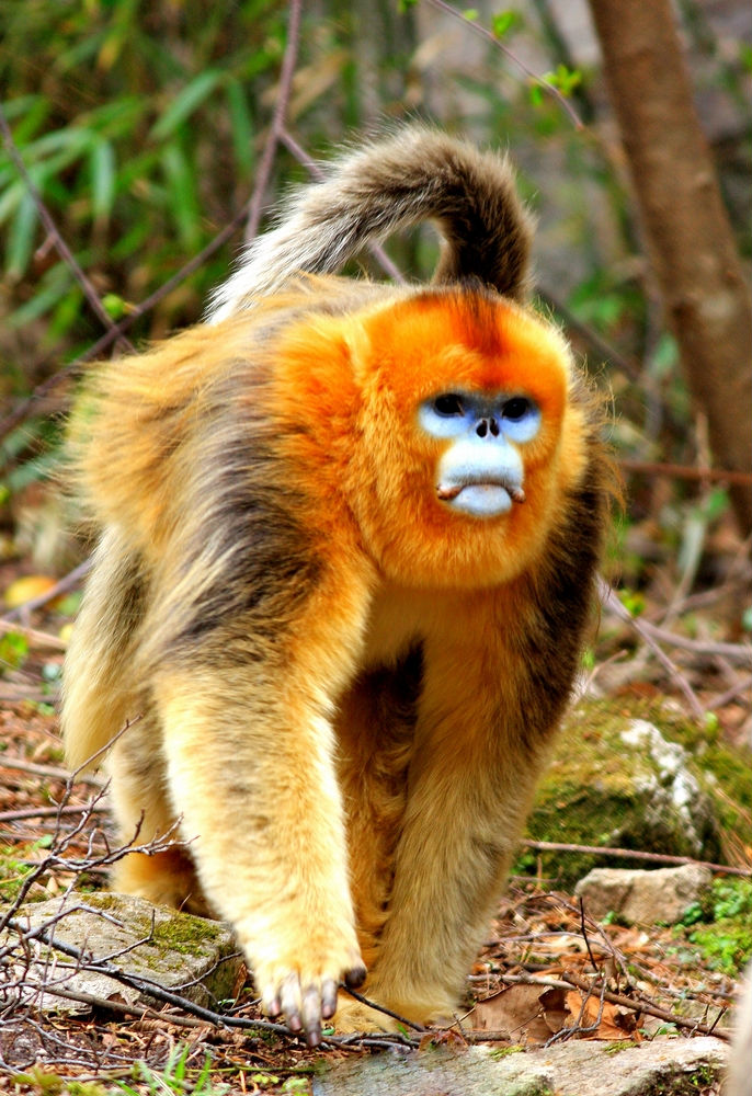 ������˿��